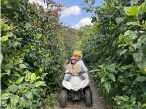 プランの魅力 Hibiscus Road の画像