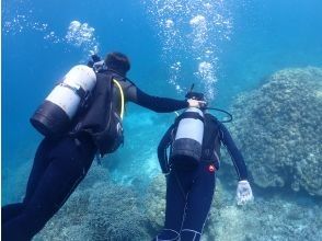 プランの魅力 透明度の高い沖縄の海を泳ぐ の画像