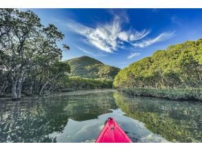 プランの魅力 写真・動画データプレゼント の画像