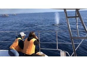 プランの魅力 ブロー の画像