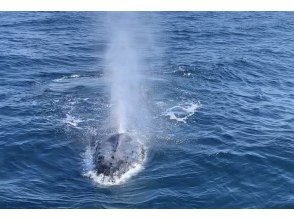 プランの魅力  の画像