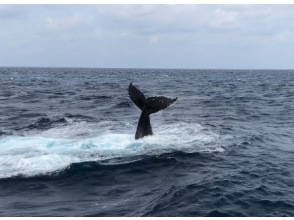 プランの魅力  の画像