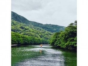 プランの魅力 Wherever mangrove の画像