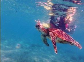 プランの魅力 の画像