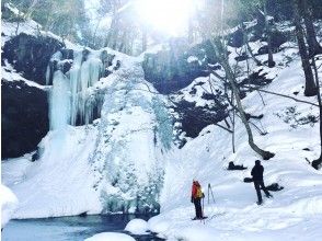 プランの魅力  の画像