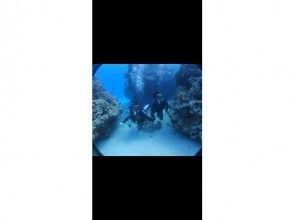 プランの魅力 の画像