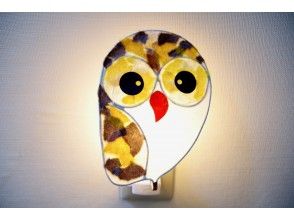プランの魅力 Cuteness that is irresistible for owl lovers の画像