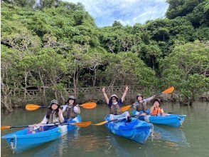 プランの魅力 マングローブとセットで の画像