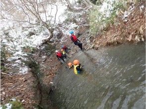 プランの魅力 In some places の画像