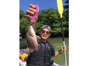 プランの魅力 Mangrove jack の画像