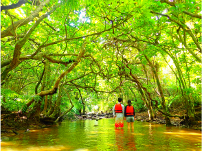 プランの魅力 Jungle trekking の画像