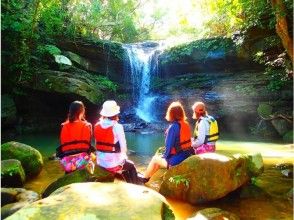 プランの魅力 Unexplored Coola Falls の画像