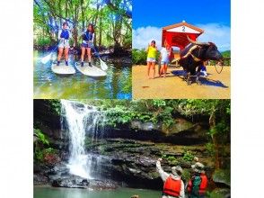 プランの魅力 A new island trip ~ Mangrove SUP (SUP) Unexplored waterfall tour & Yubu Island sightseeing の画像