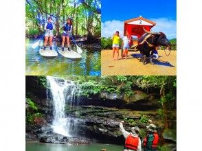 プランの魅力 一個新的島嶼之旅〜紅樹林SUP（SUP）未開發的瀑布之旅和湯布島觀光 の画像