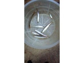 プランの魅力 Lake Nakatsuna Smelt の画像