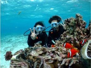 プランの魅力 คุณสามารถเพลิดเพลินกับการดำน้ำ の画像