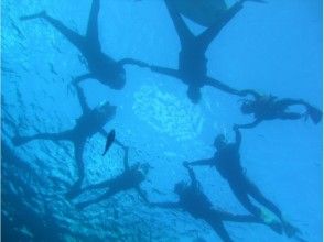 プランの魅力 Memories underwater photography time の画像
