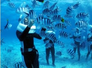 プランの魅力 の画像