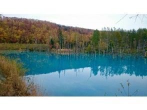 プランの魅力 Biei / Blue Pond の画像