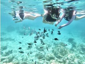 プランの魅力 Snorkel at Kotori Beach の画像