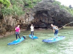 プランの魅力 冒険クルーズ の画像