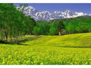 プランの魅力 中山高原菜の花 の画像