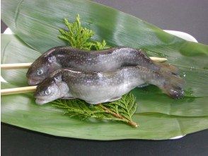 プランの魅力 イワナ の画像