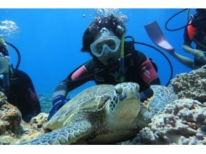 プランの魅力 ウミカメに遭遇 の画像