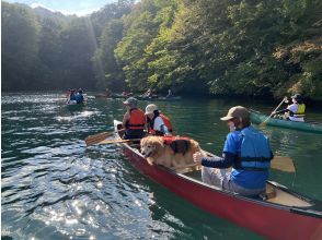 プランの魅力 Canoeing with my dog! の画像