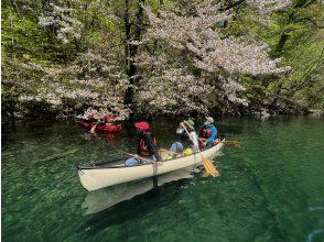 プランの魅力 Lake Towada in spring の画像