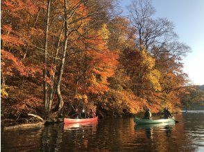 プランの魅力 Lake Towada in autumn の画像