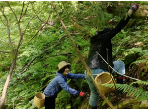 プランの魅力 里山をワイルドにアドベンチャー！！ の画像