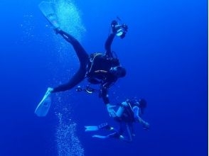 プランの魅力 Blue Water の画像