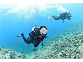 プランの魅力 一套完全保留，初學者和空白潛水者可以隨意♪ の画像