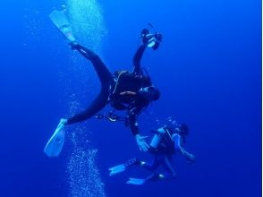 プランの魅力 Plenty of diving ♪ の画像