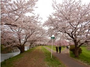 プランの魅力  の画像