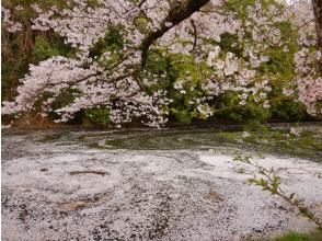 プランの魅力  の画像