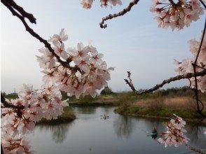 プランの魅力  の画像