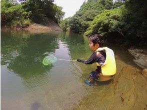 プランの魅力 魚の動きに真剣！川の生き物見つけよう の画像