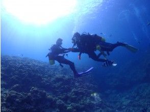 プランの魅力 ベテランガイドがしっかりとサポートして行きます！！ の画像