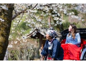 プランの魅力 桜のコース♡ の画像