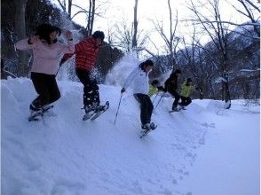 プランの魅力 雪にダイブ！ の画像