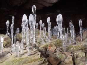 プランの魅力 大幽洞窟の氷筍 の画像