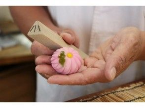 プランの魅力 Instructor's example の画像