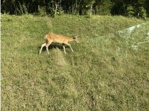 プランの魅力  の画像