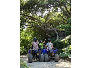 プランの魅力 ジャングルで大冒険 の画像