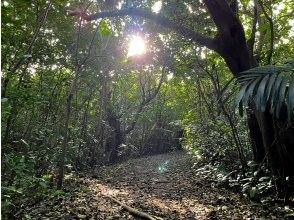 プランの魅力 Course outline の画像