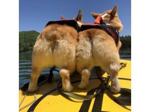 プランの魅力 わんこもビッグSUPで湖上さんぽ♪ の画像