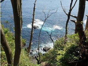 プランの魅力 森と海がとっても近い の画像