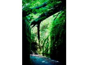 プランの魅力 の画像